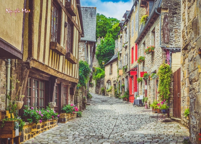 Xử Lý Tường Bị Bong Tróc Bằng Tranh Dán Tường Vừa Thẩm Mỹ Vừa Tối Ưu