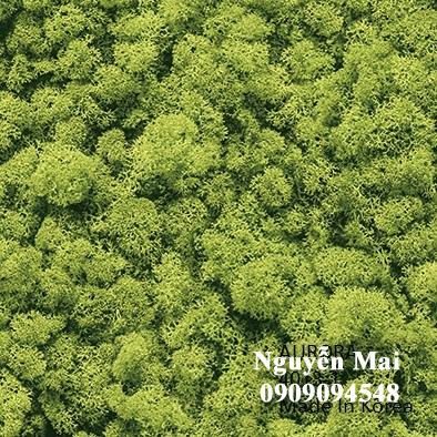 Giấy dán tường Aurora (SALE) 4013-1