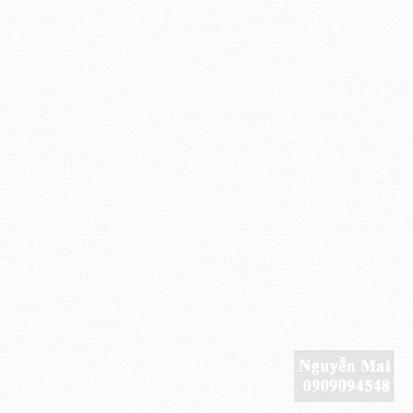 Giấy dán tường Basic 485-1(E)