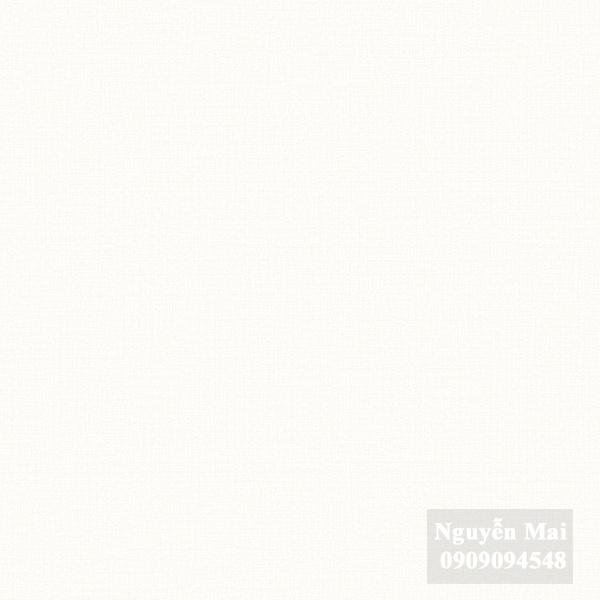 Giấy dán tường Basic 489-1