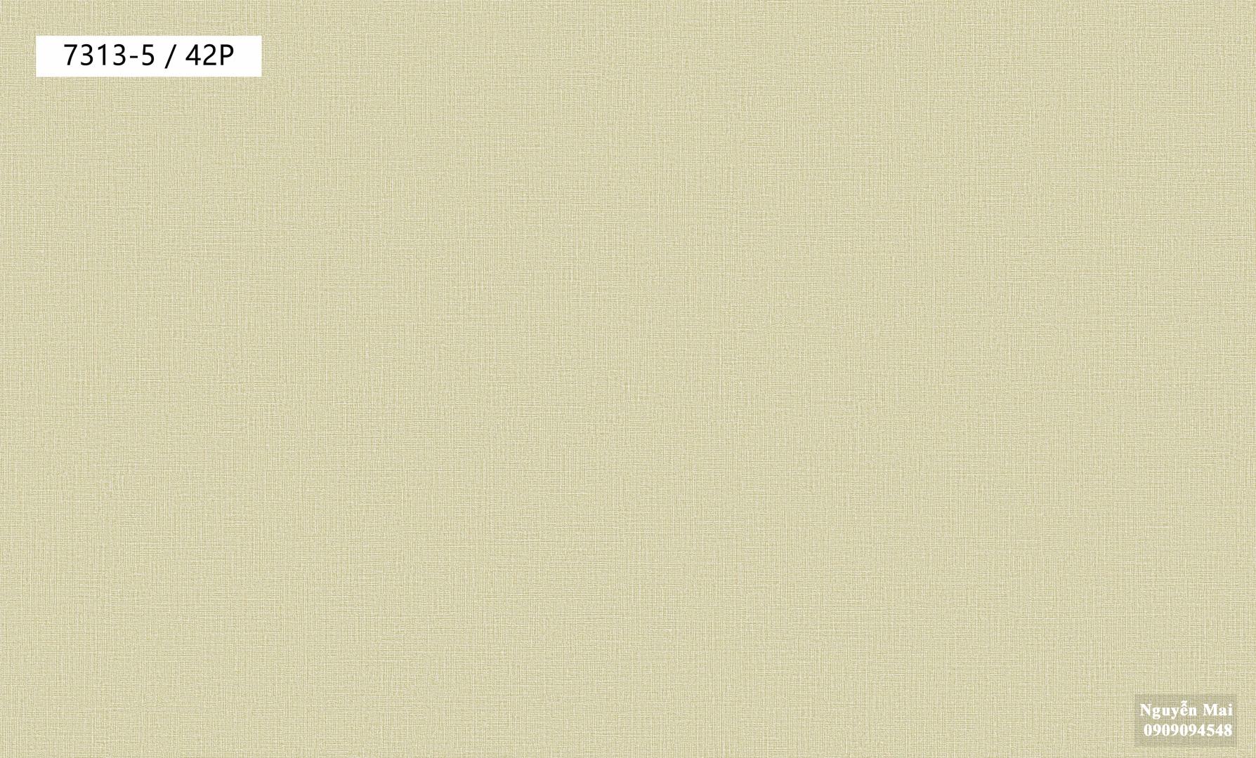 Giấy dán tường Galaxy  7313-5