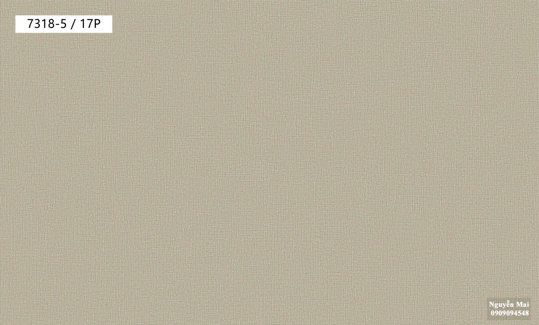 Giấy dán tường Galaxy  7318-5
