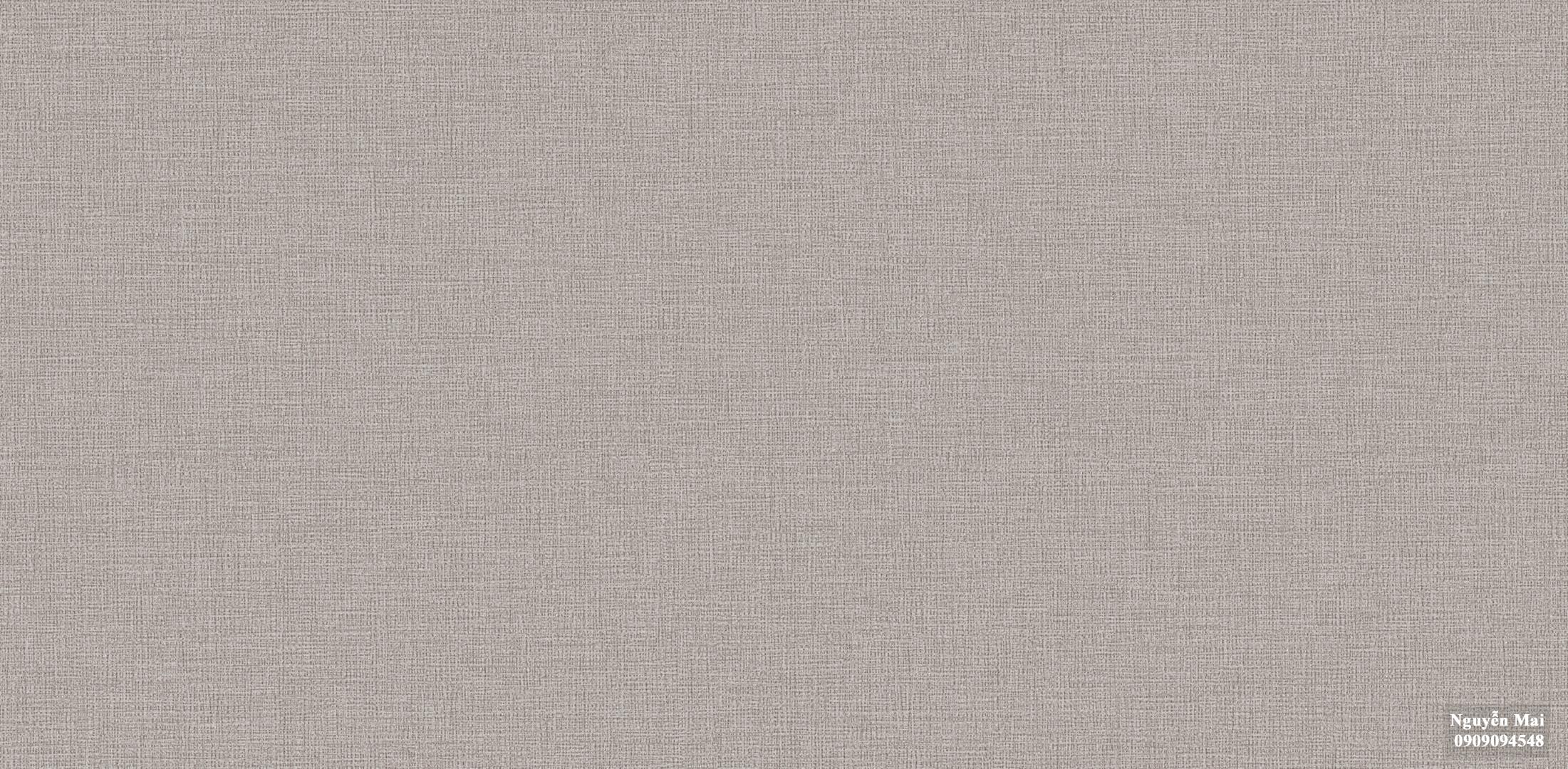 Giấy dán tường Joinus 8604-5