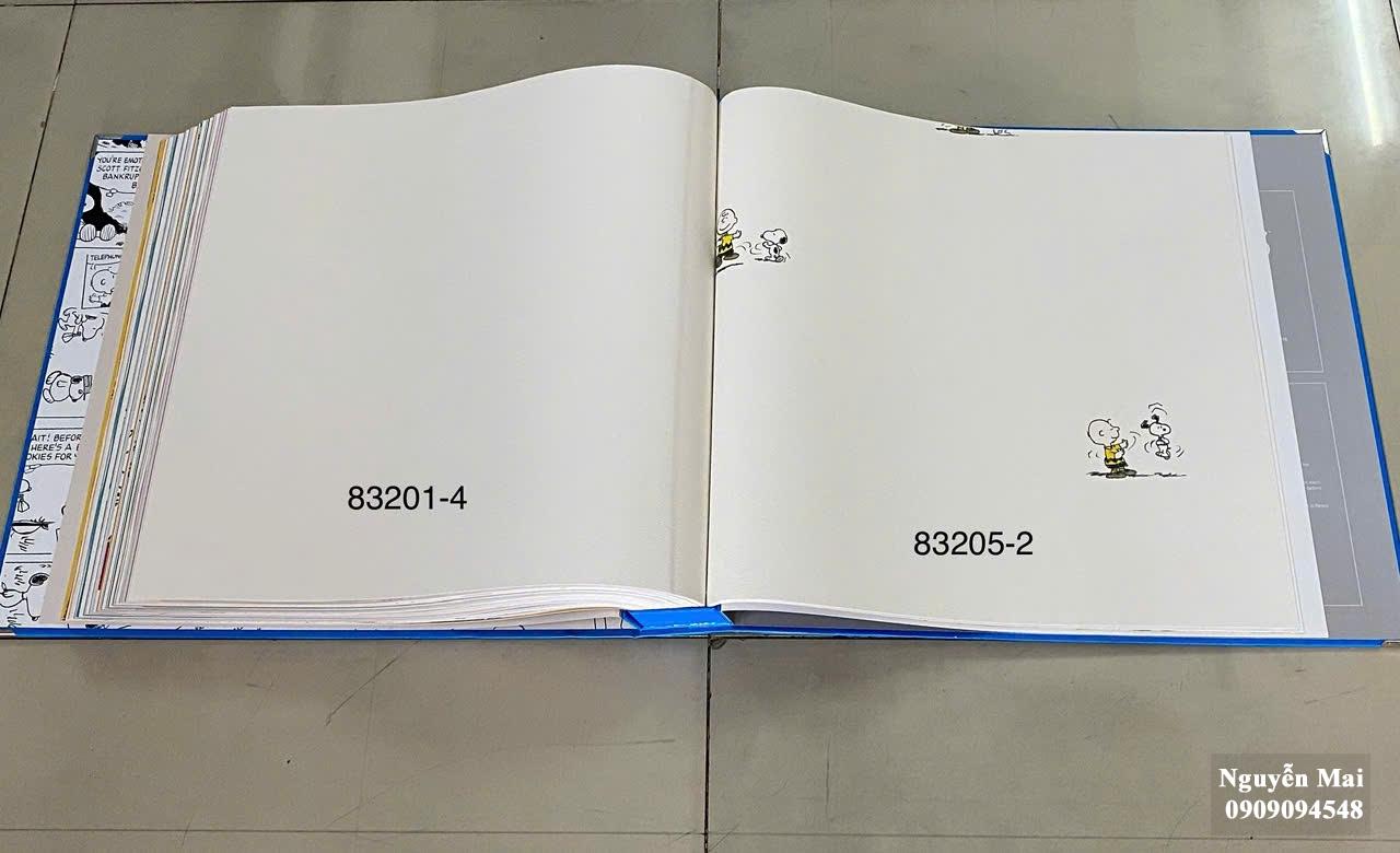 Giấy dán tường PEANUTS  83204-1+83205-2