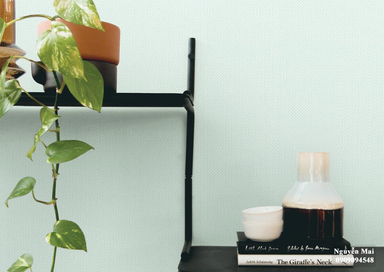 Giấy dán tường Plain 387-5