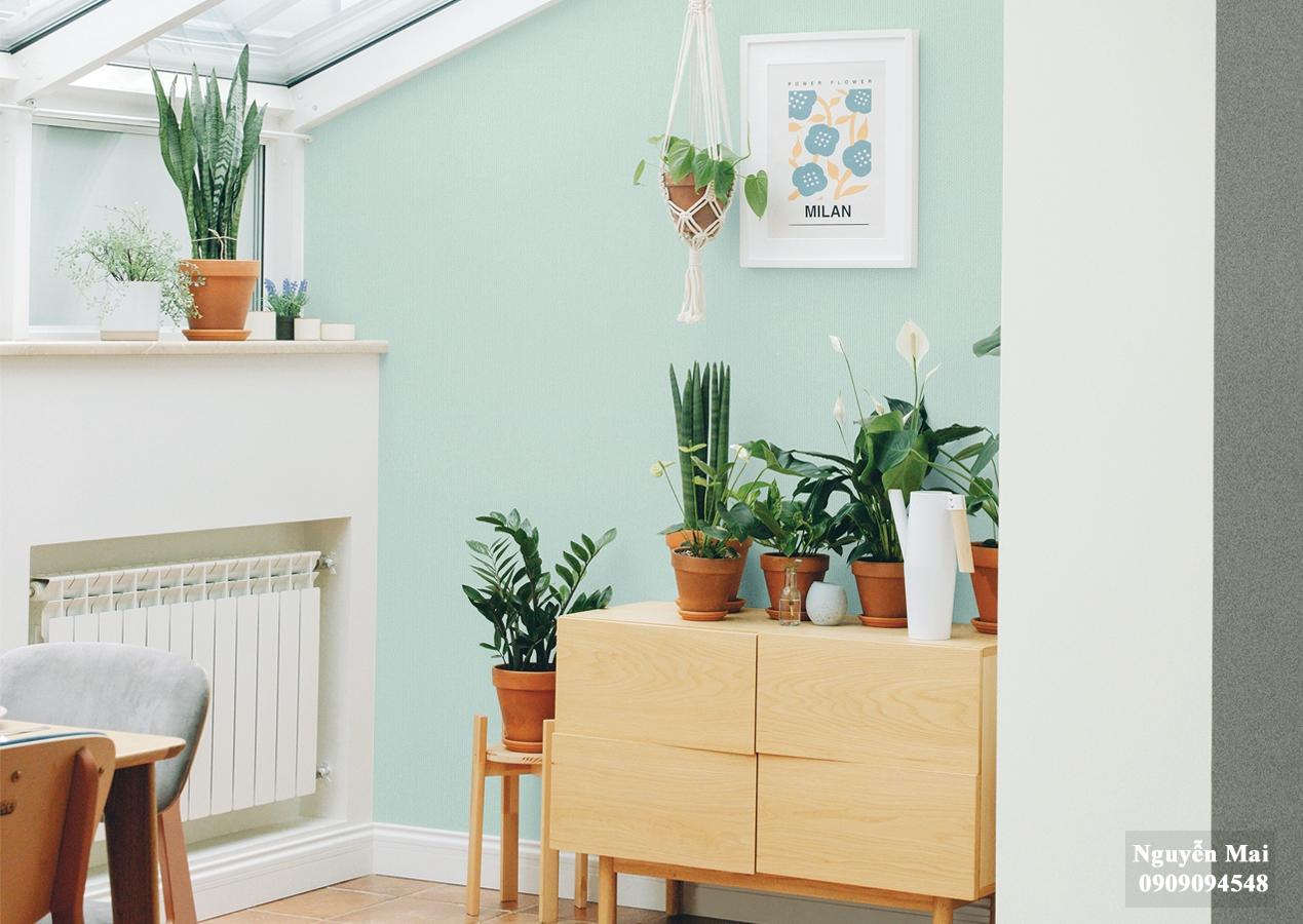 Giấy dán tường Plain 387-6