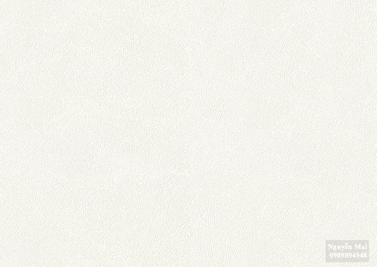 Giấy dán tường Plain 420-1