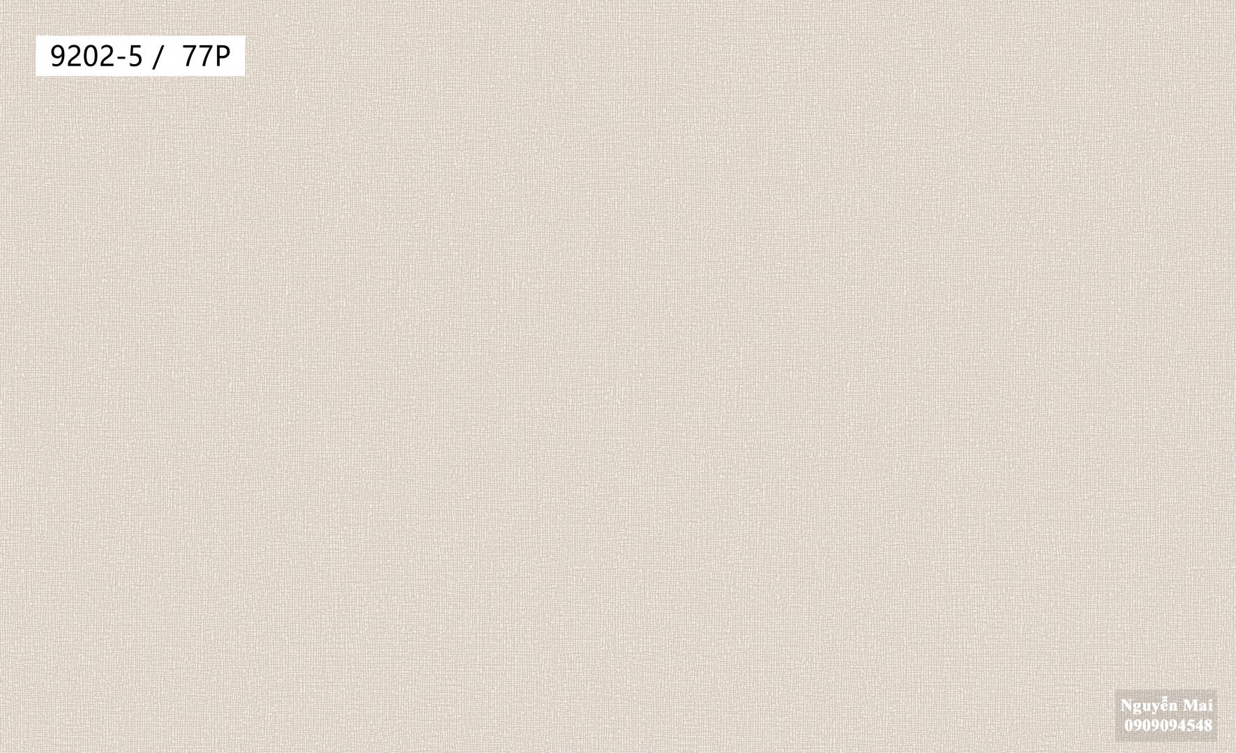 Giấy dán tường Times 9202-5