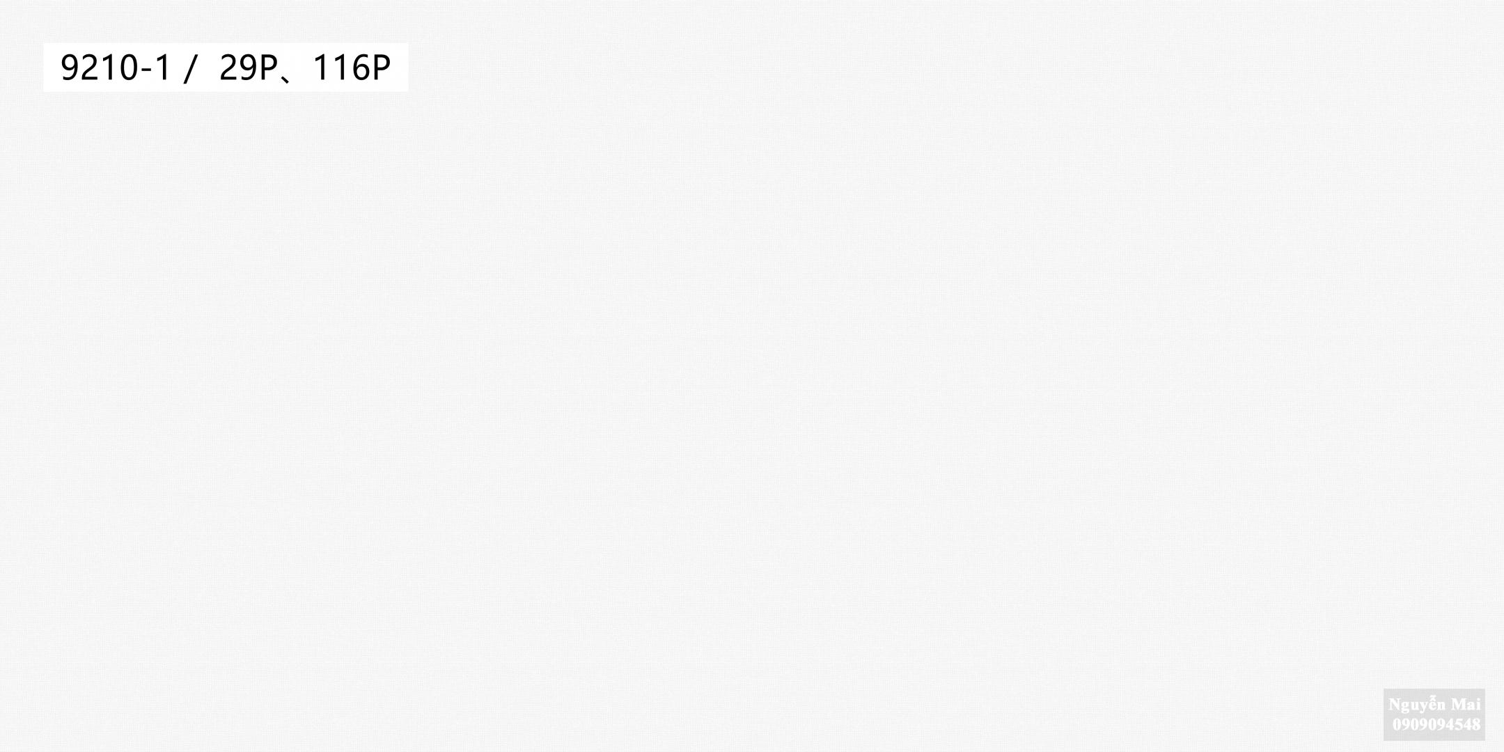 Giấy dán tường Times 9210-1