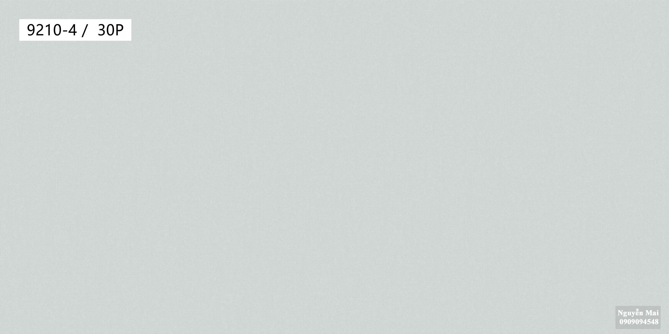 Giấy dán tường Times 9210-4