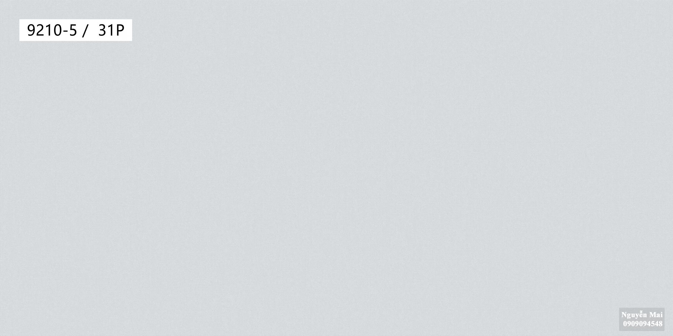 Giấy dán tường Times 9210-5