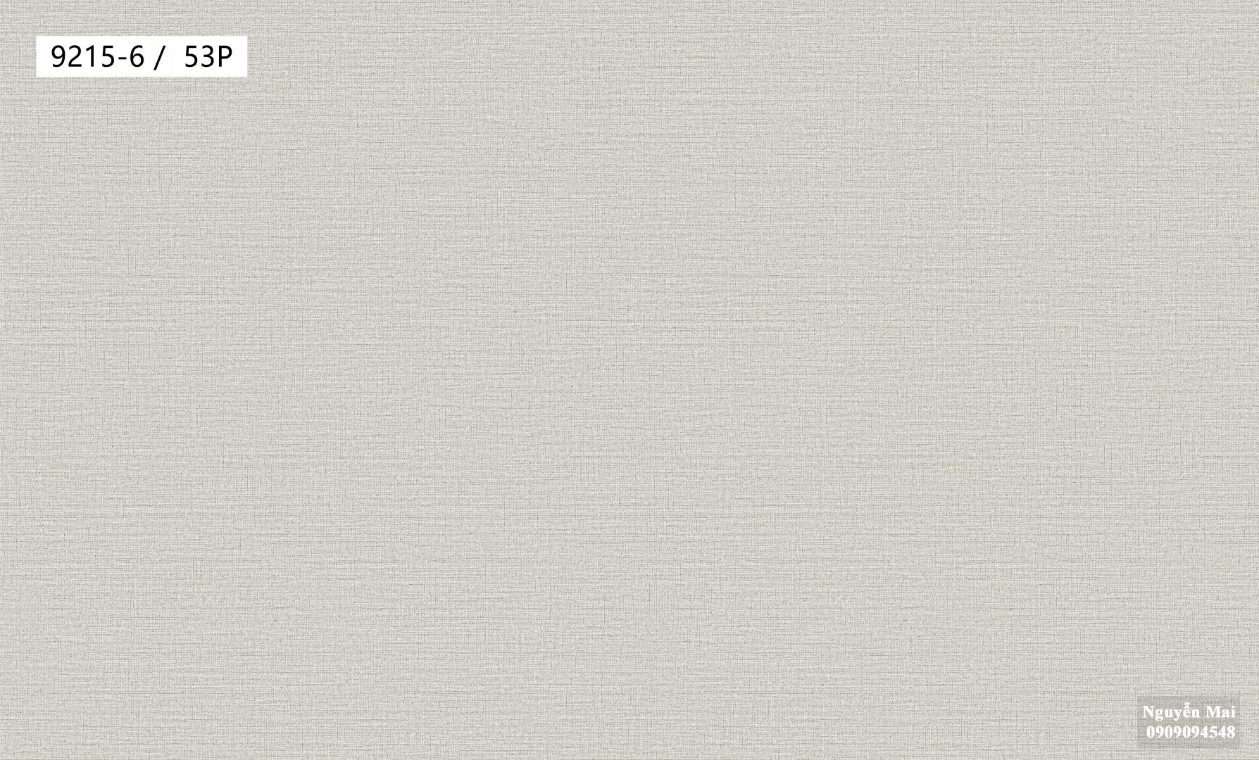 Giấy dán tường Times 9215-6