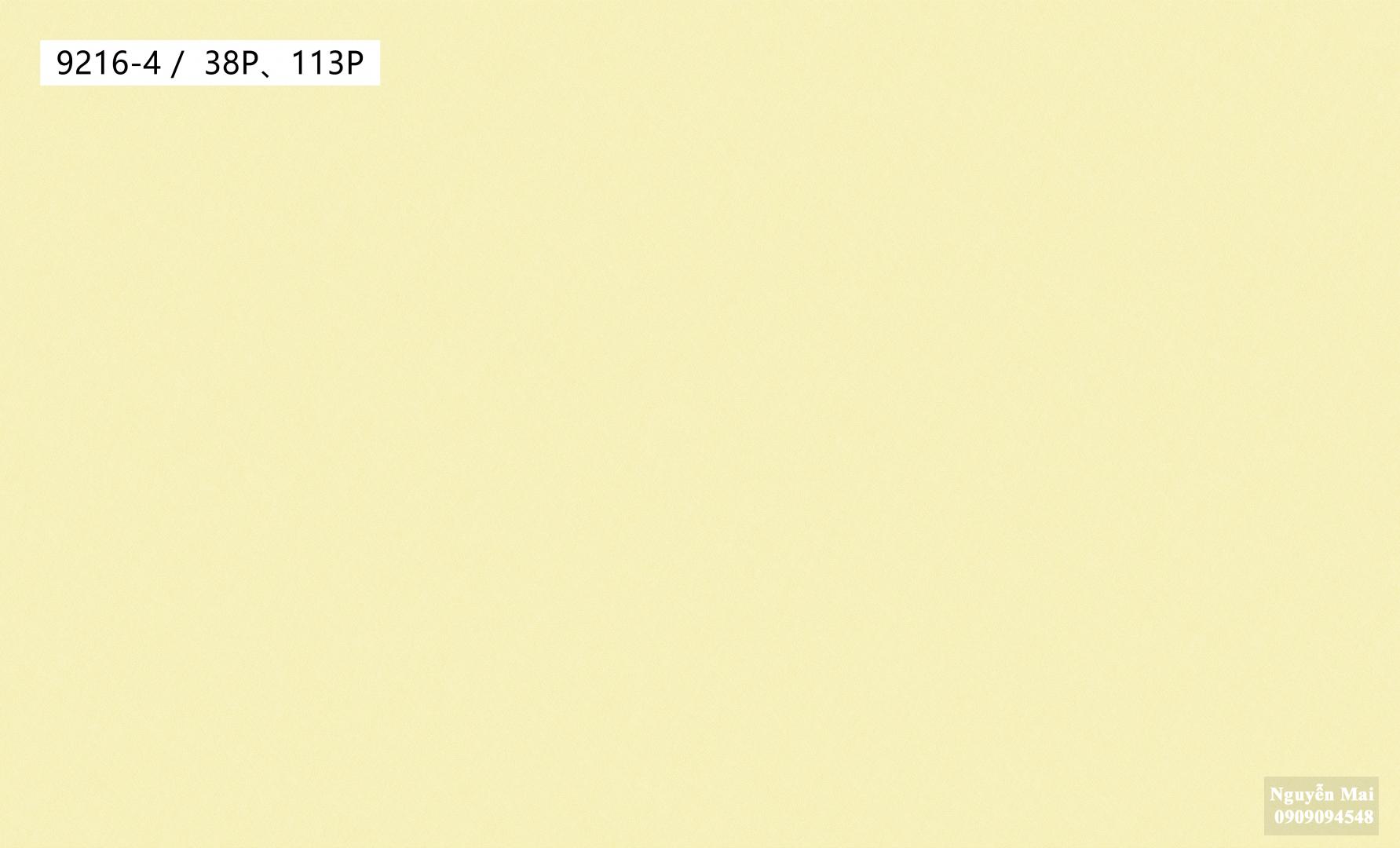 Giấy dán tường Times 9216-4