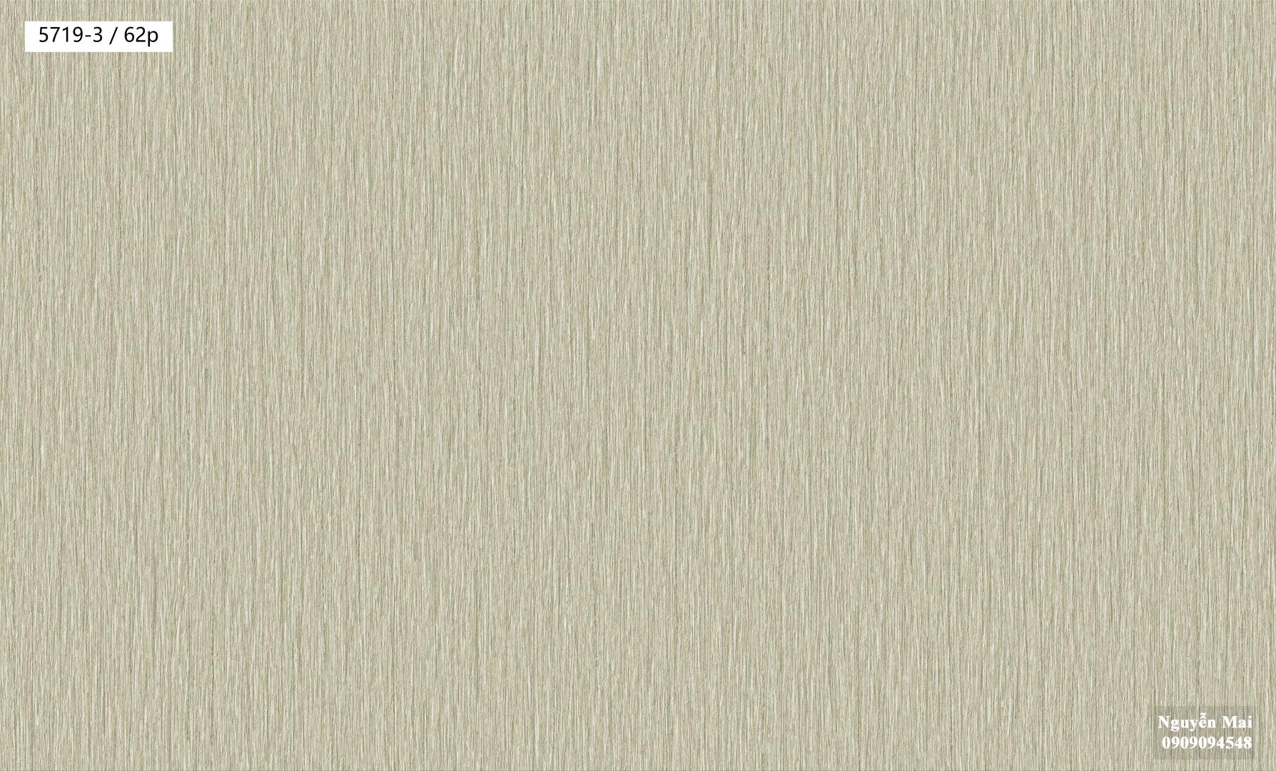 Giấy dán tường Villa 5719-3