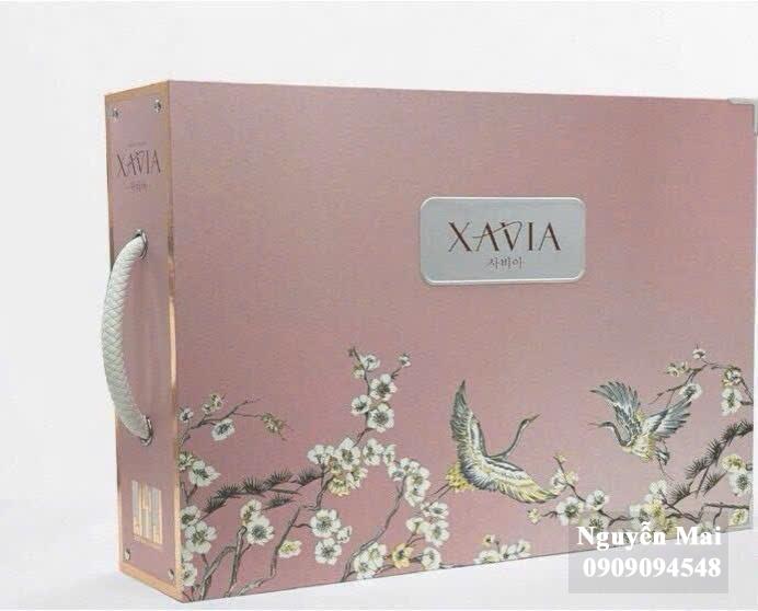 Giấy dán tường Xavia