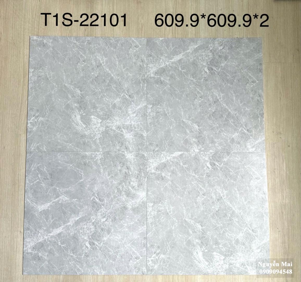 Sàn nhựa 2mm keo rời 22101