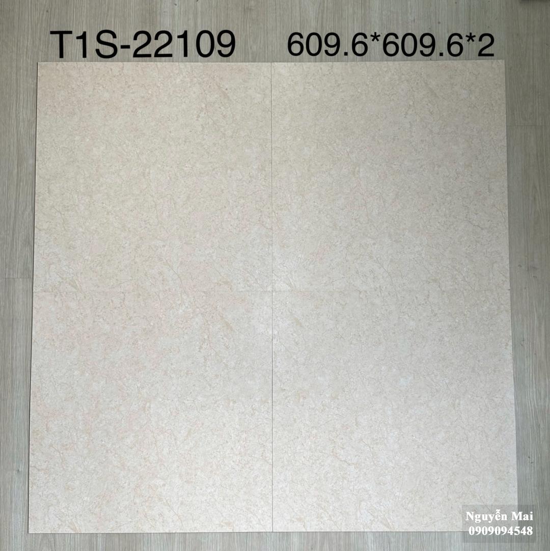 Sàn nhựa 2mm keo rời 22109