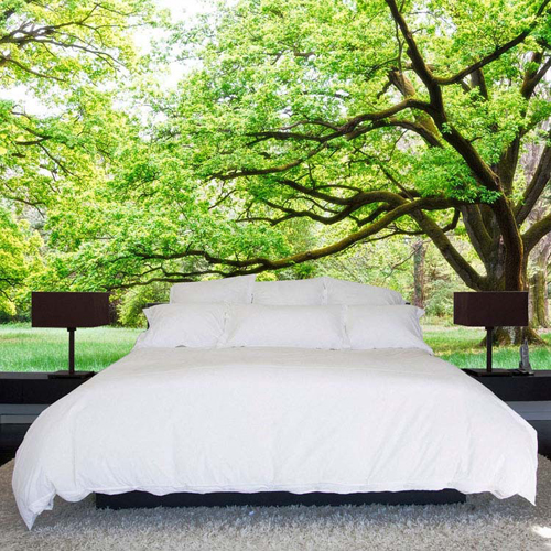   Chiếc giường như đang được bố trí giữa công viên cây xanh.  